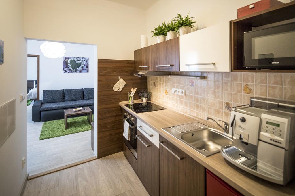 Apartman Dolni Namesti Оломоуц Экстерьер фото