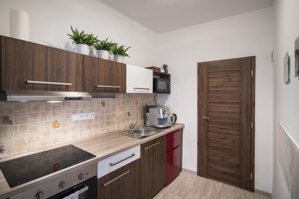 Apartman Dolni Namesti Оломоуц Экстерьер фото